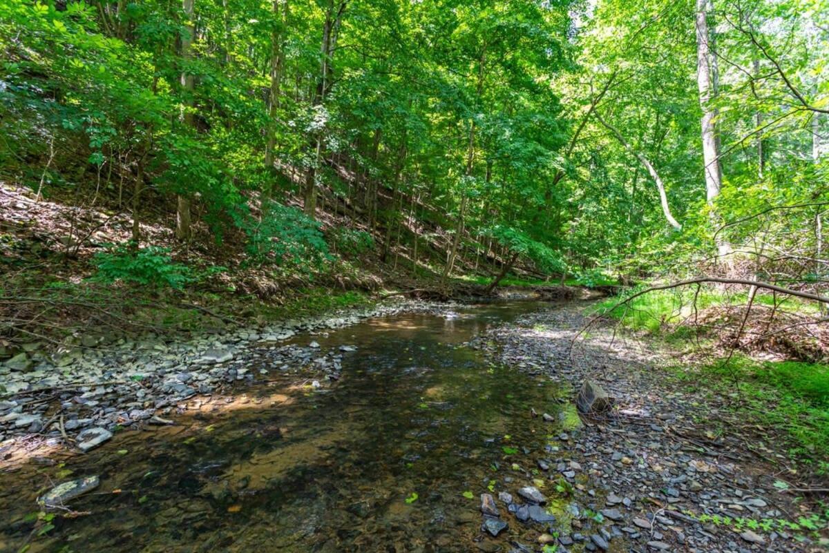 Hot Tub, Large Deck, Wifi, Fire Pit At Chalet Cabin Morton Grove المظهر الخارجي الصورة