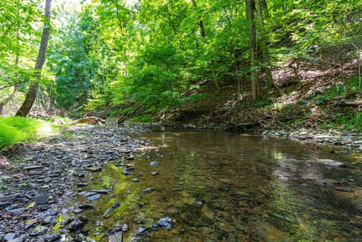 Hot Tub, Large Deck, Wifi, Fire Pit At Chalet Cabin Morton Grove المظهر الخارجي الصورة